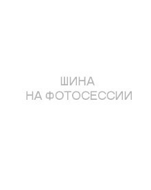 Шины Tunga 185/65 r15 Nordway 3 92Q Шипы Шины Tunga 185/65 r15 Nordway 3 92Q Шипы